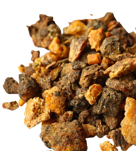 Opoponax