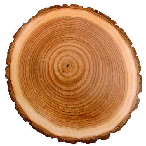 Woody Notes