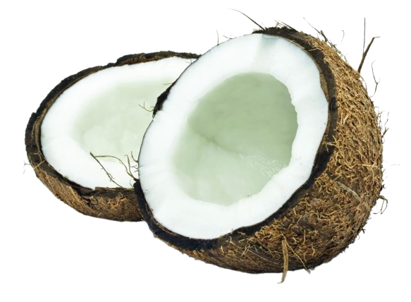 Coconut