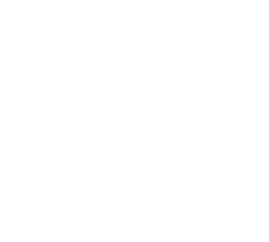 Ambrofix