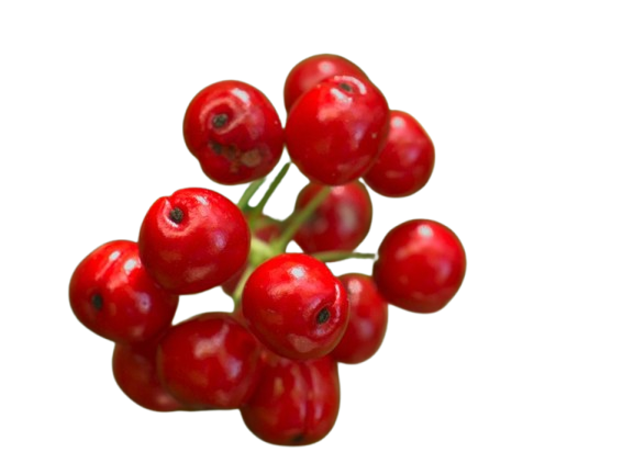 Red Berry