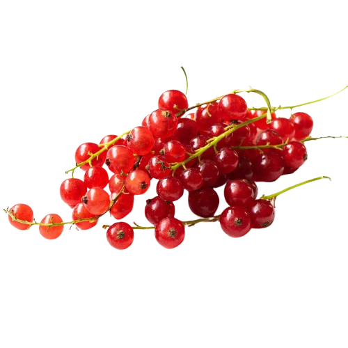 Red Current