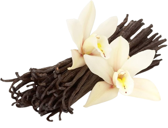Madagascar vanilla
