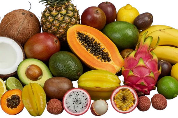 Tropical Fruits