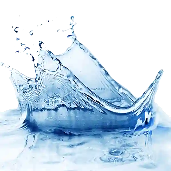 Aquatic Notes