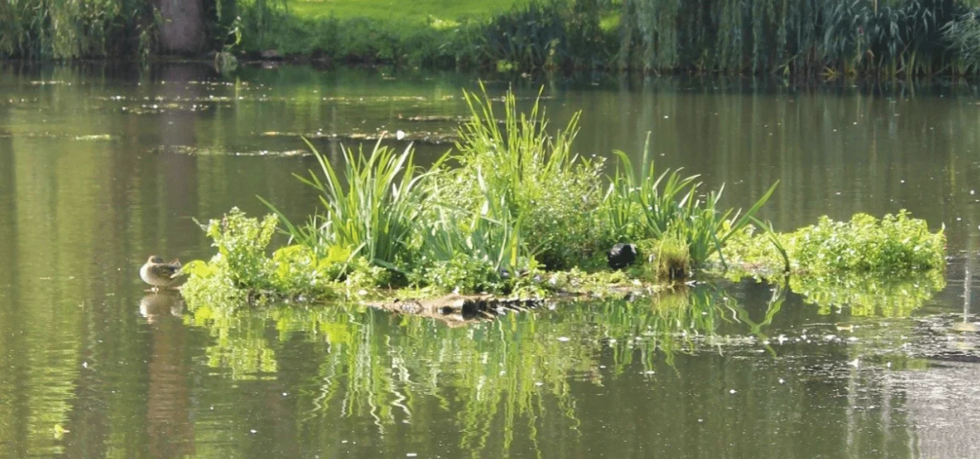 Bio-Floats het Wiel Poortugaal