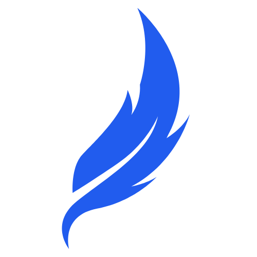 DuygularNet Logo