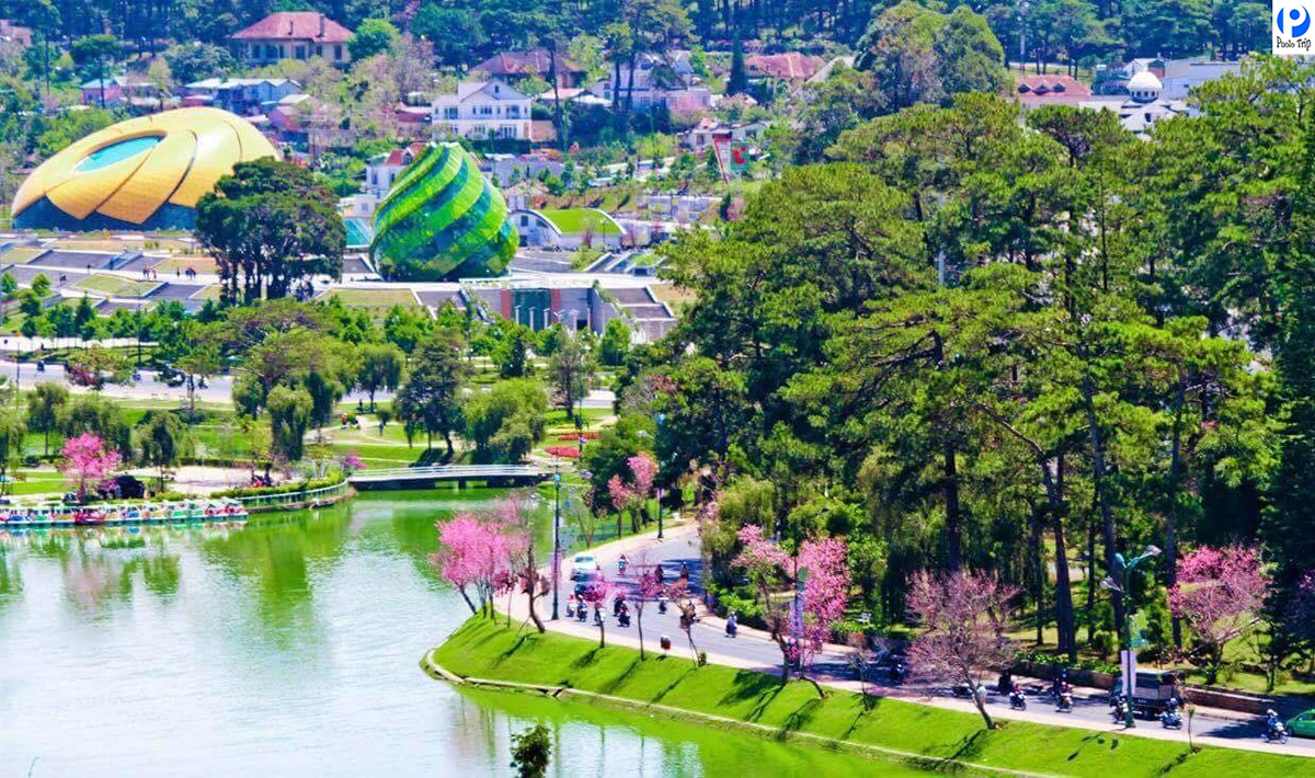 Tuyến Vũng Tàu ⇆ Đà Lạt