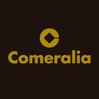 Tecnologia Contable Aplicada SL