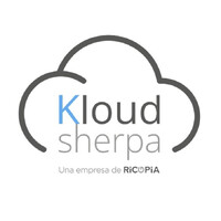 Digital Leadership Consulting SL