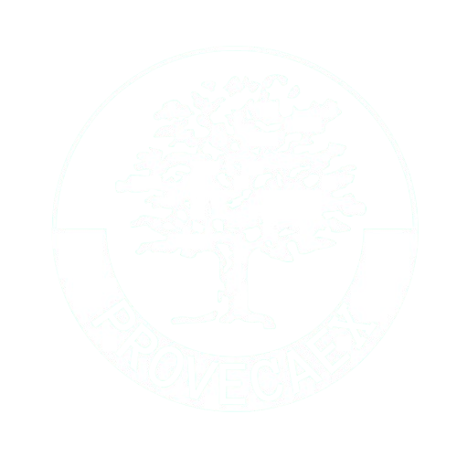 Provecaex SL