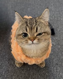 pic