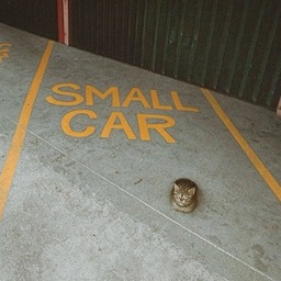 pic