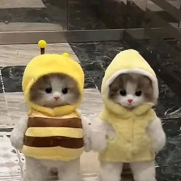 pic