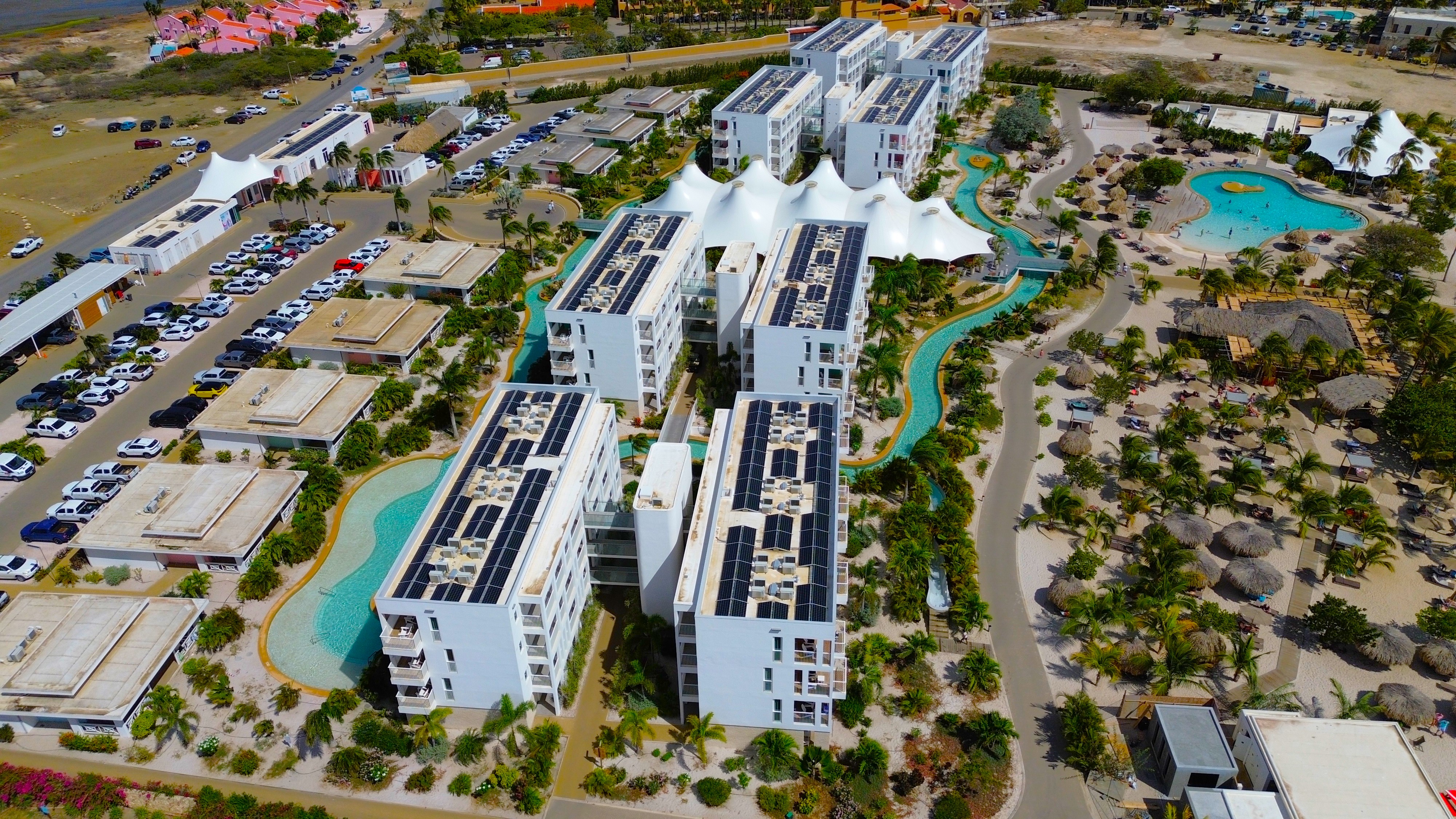 Chogogo Bonaire