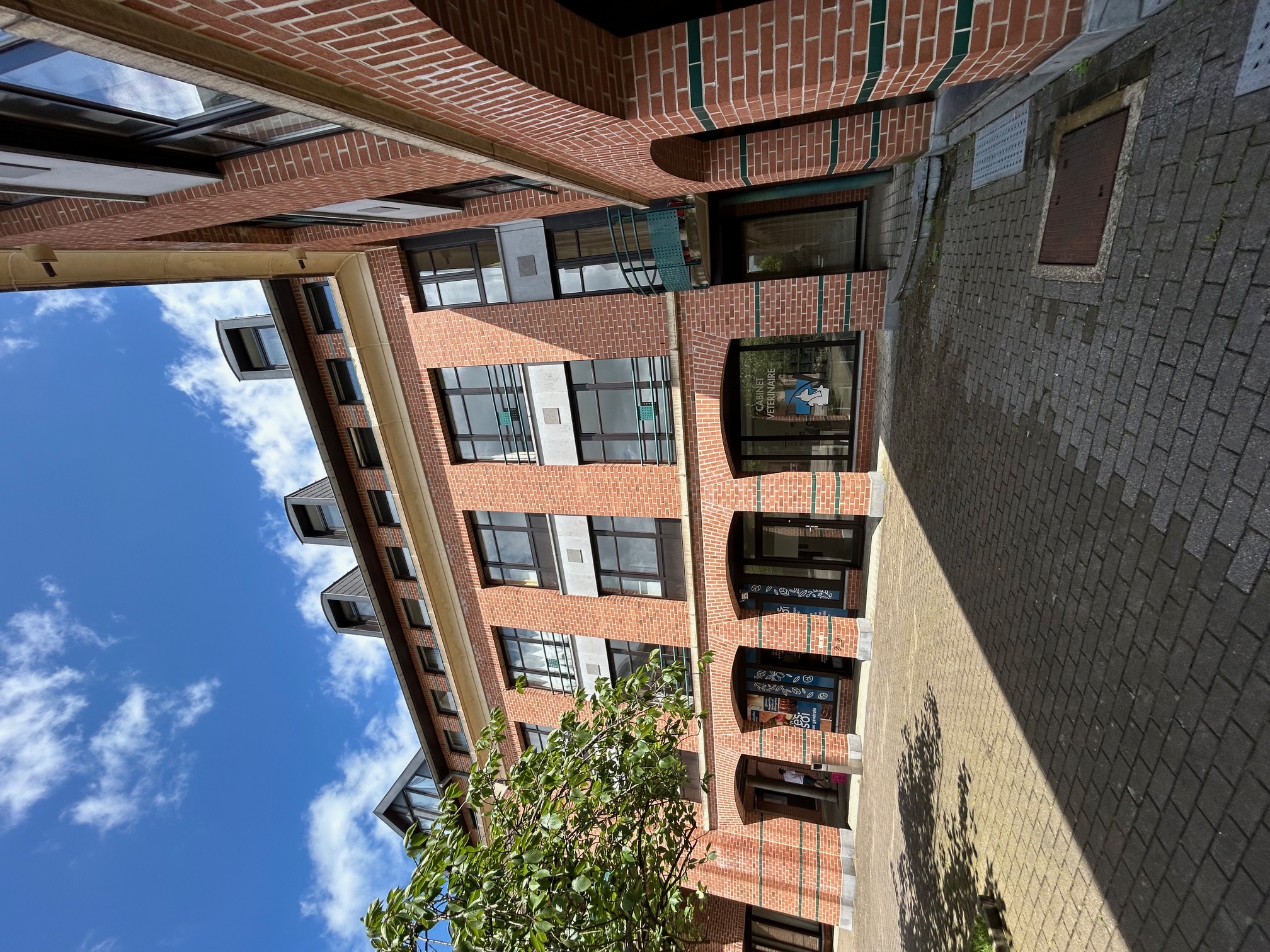 Vue 13