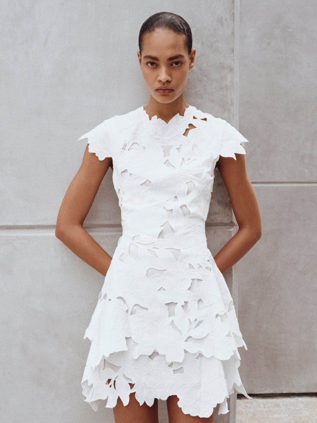 Simkhai Holloway Embroidered Mini Dress
