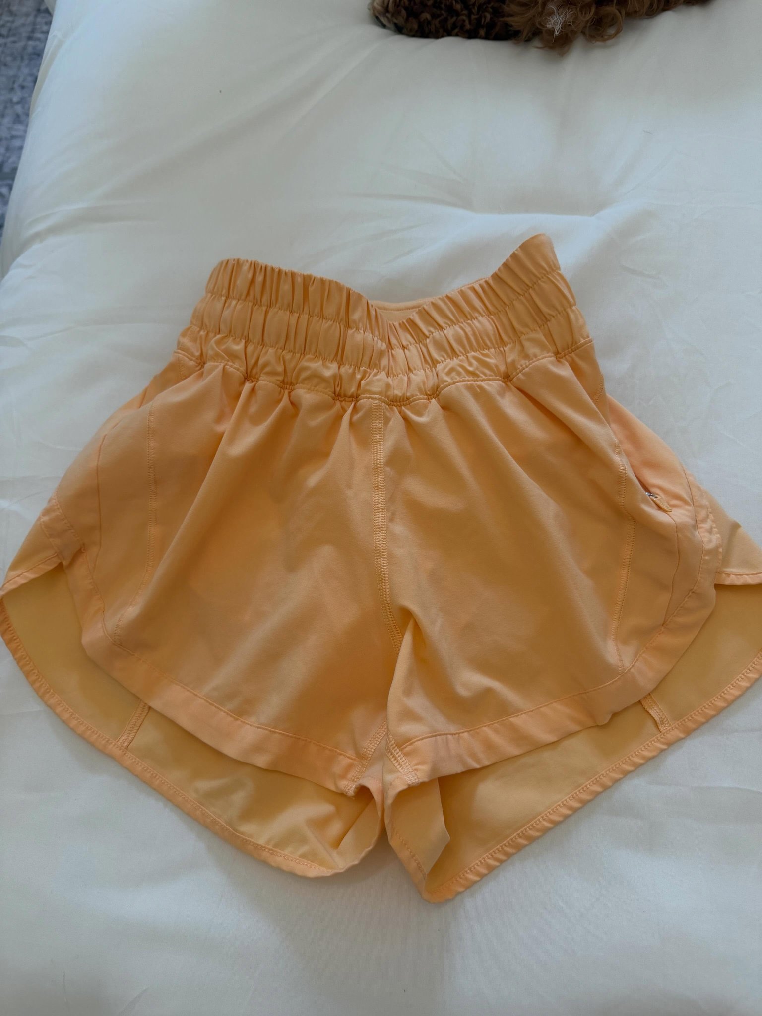 Lulu Shorts