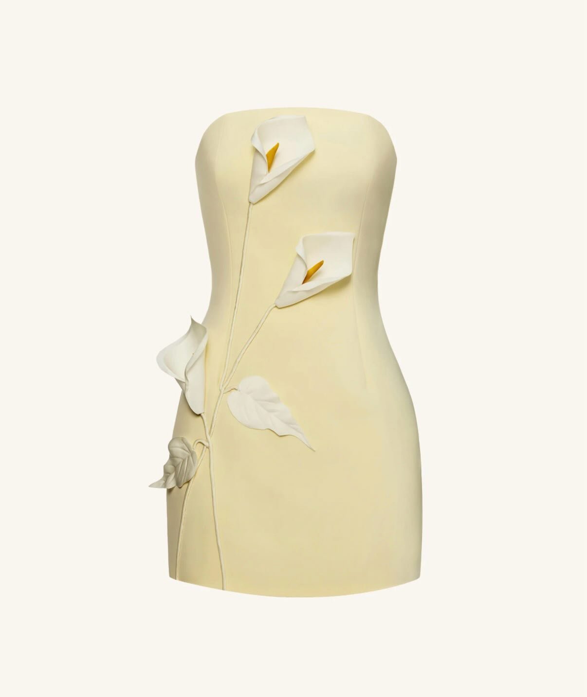 Mini Dress with 3d Flowers