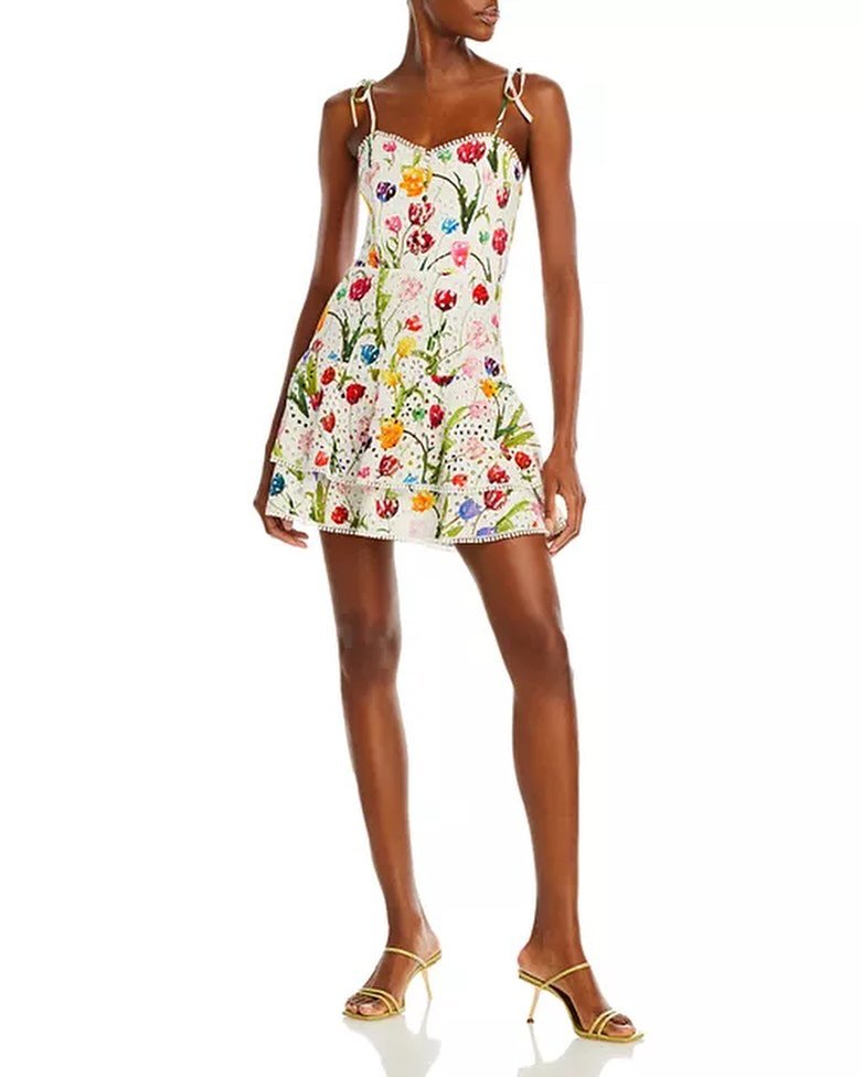 Alice + Olivia Floral Eyelet Mini Dress