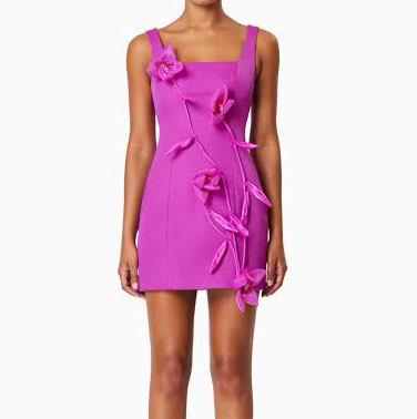 Elliatt Bethany Mini Dress