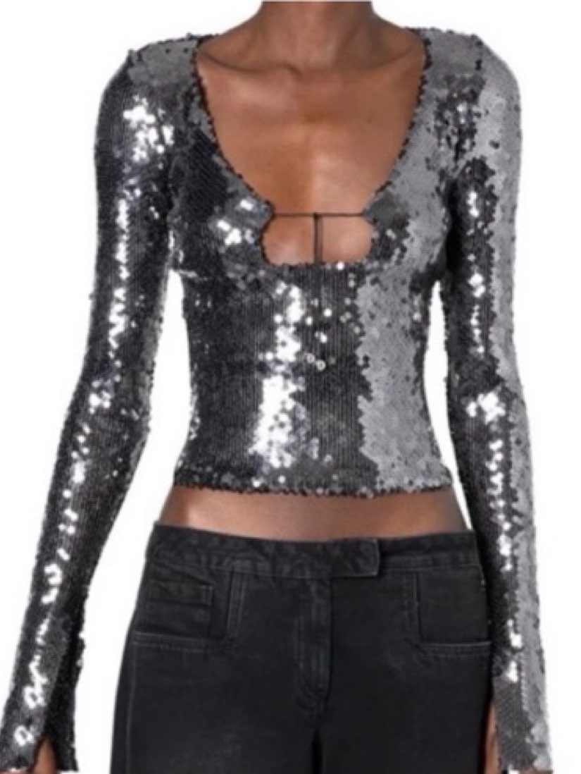 Silver Sequin Long-Sleeve Crop Top
