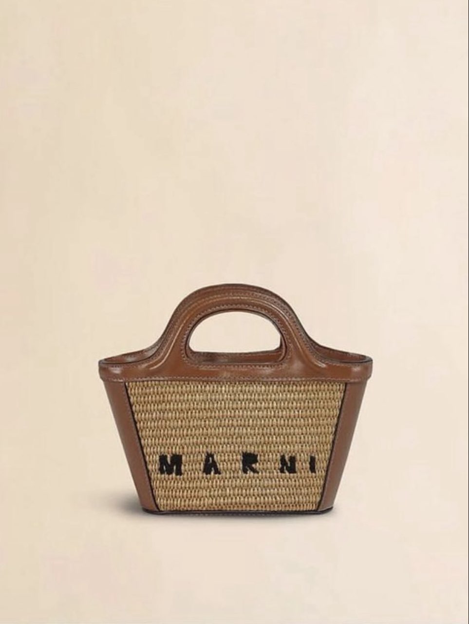 Marni Mini Raffia and Leather Tote Bag