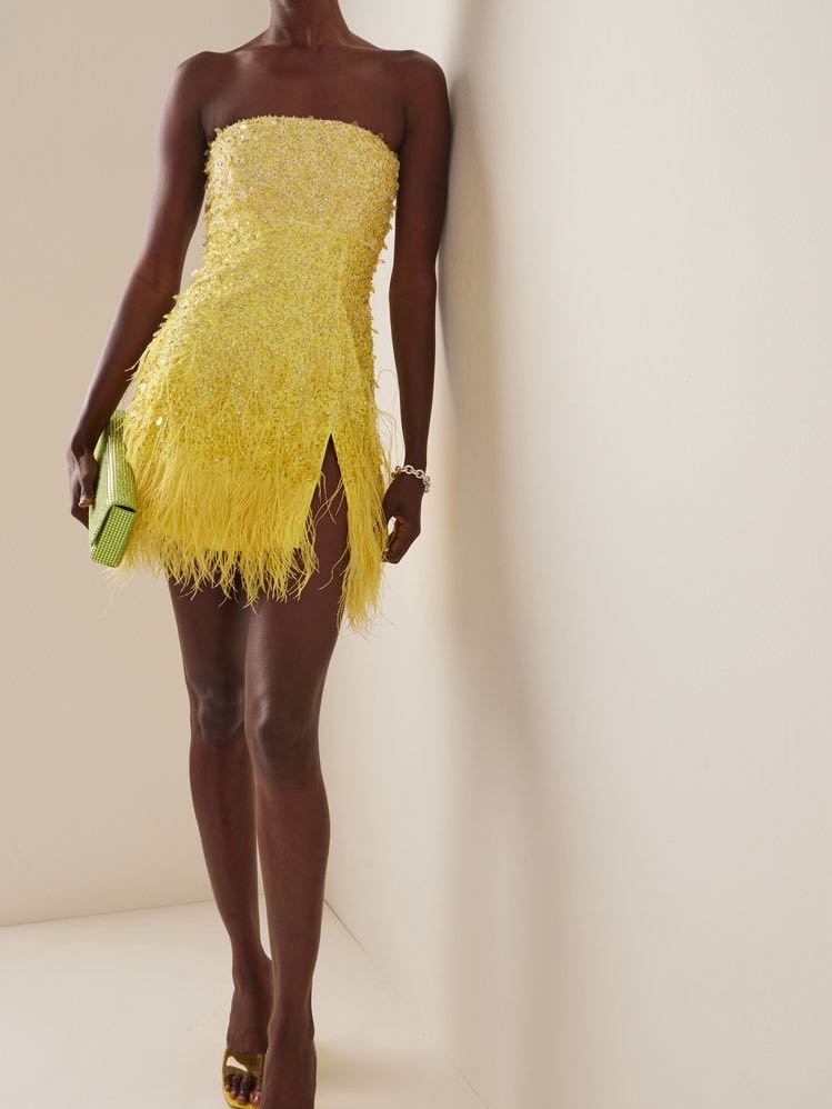Embroidered Strapless Mini Dress