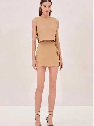Tan Floral Embellished Crop Top and Mini Skirt Set