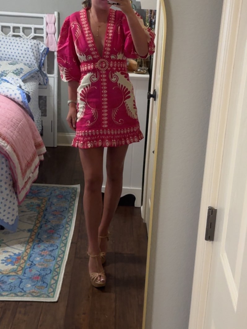 Embroidered Mini Dress