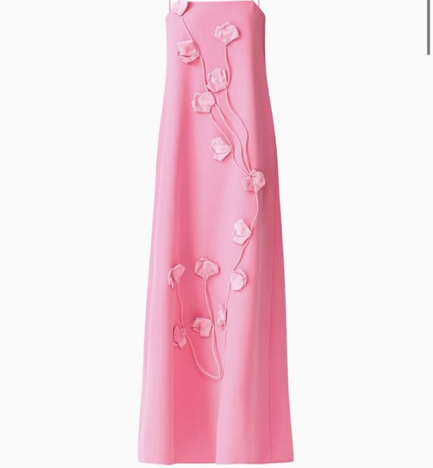 Pink Floral Applique Maxi Dress