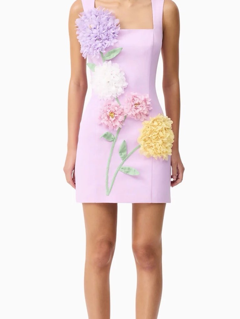 Buttercup Embroidered Party Mini Dress in Purple