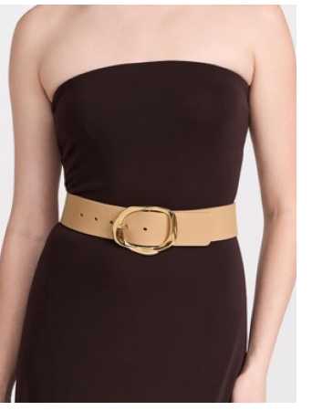 Tan Wide Belt with Gold Buckle