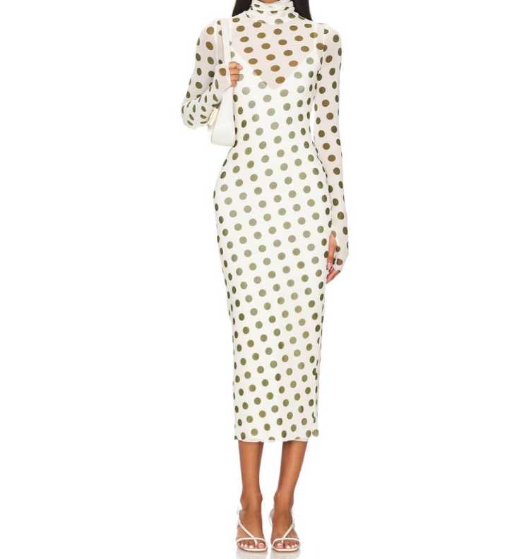 Polka Dot Mesh Midi Dress