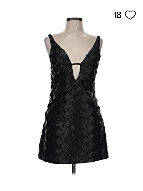 Zara dress