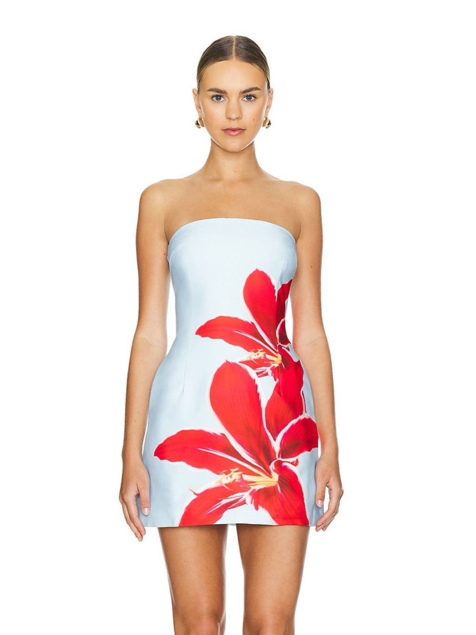 Runaway the Label Primrose Mini Dress