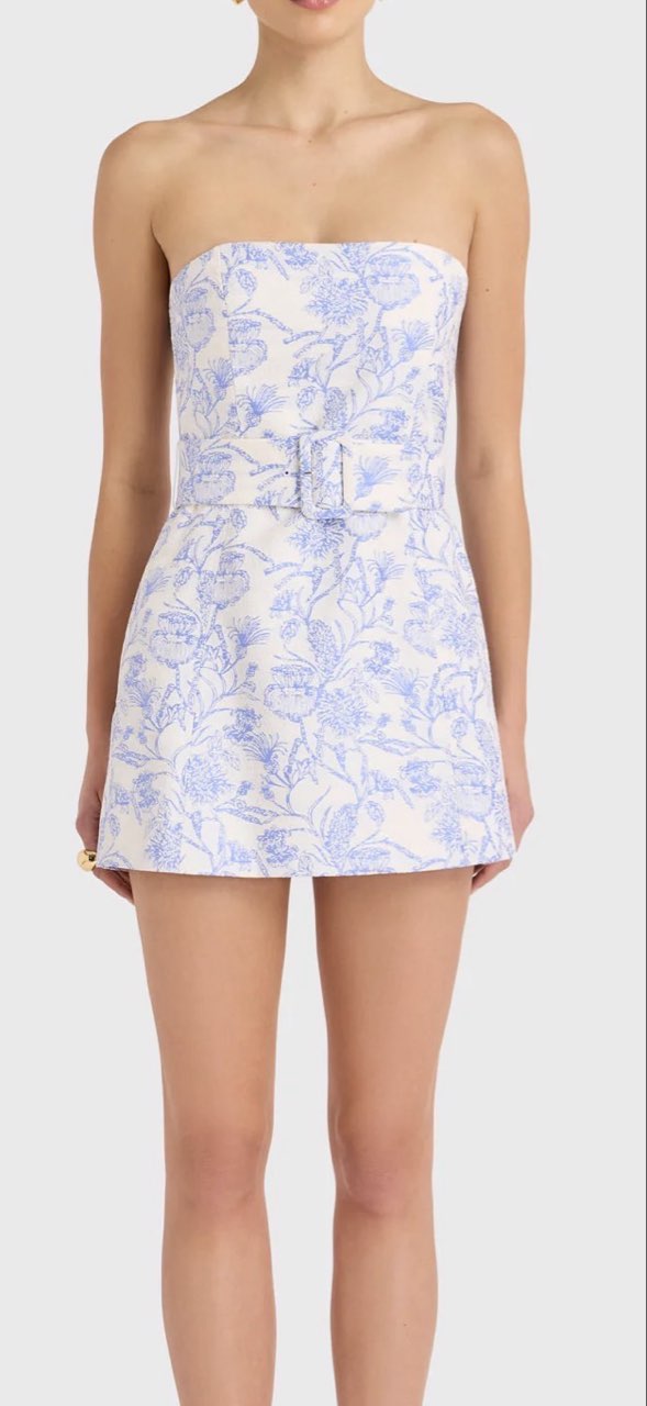 Amanda Uprichard Blue Toile Mini Dress