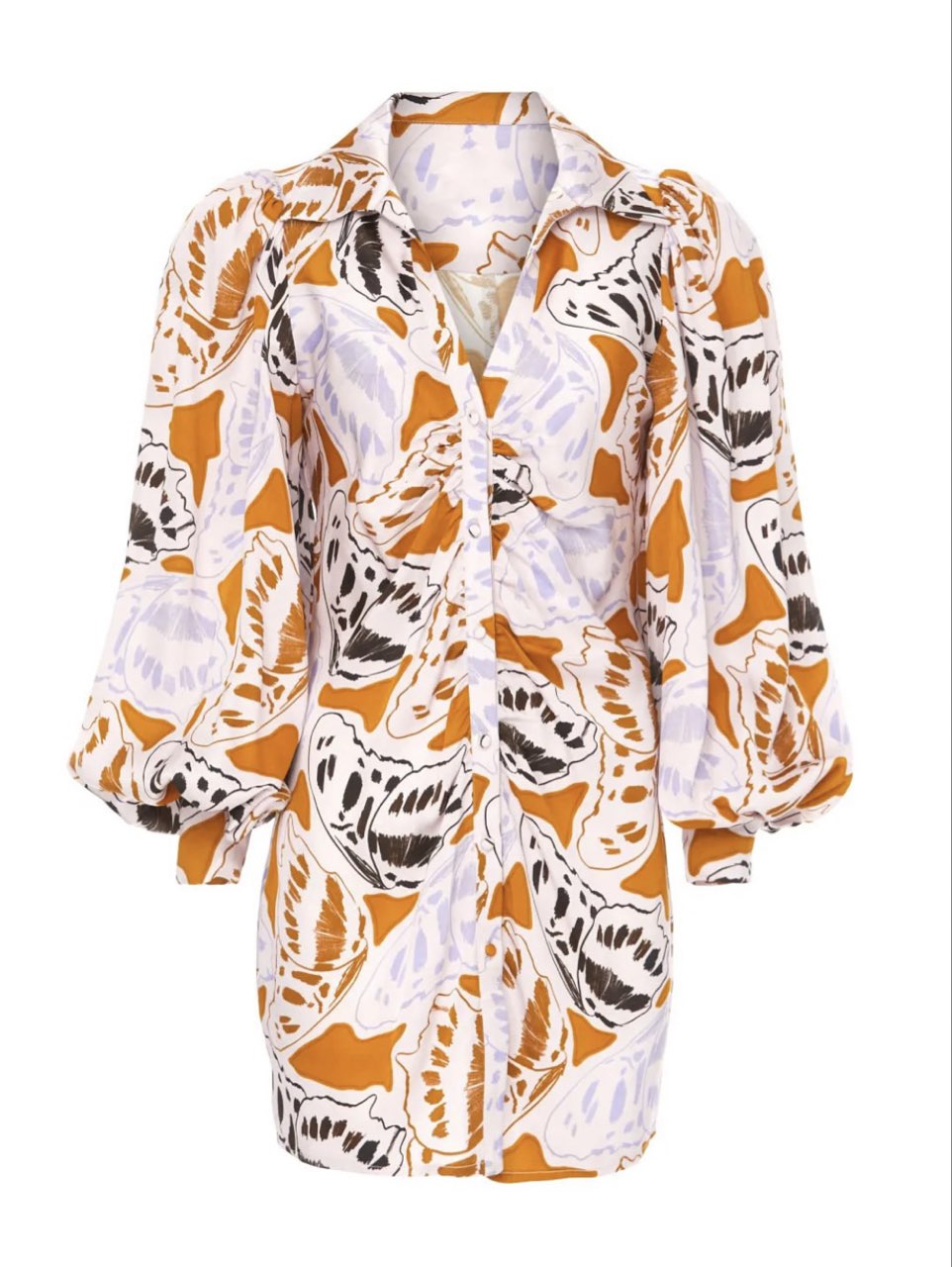Butterfly Print Mini Dress