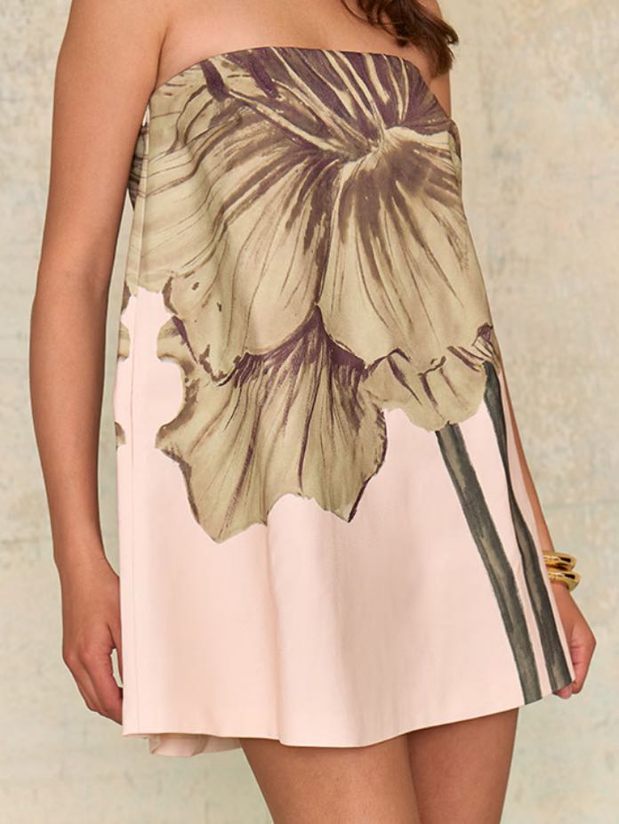 Ecru Floral Printed Bandeau A-line Dress
