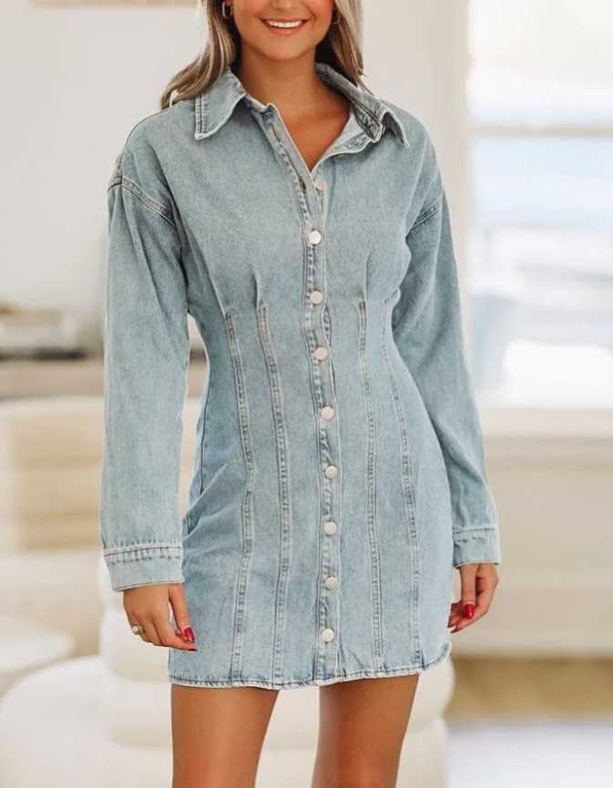 Light Wash Denim Mini Dress