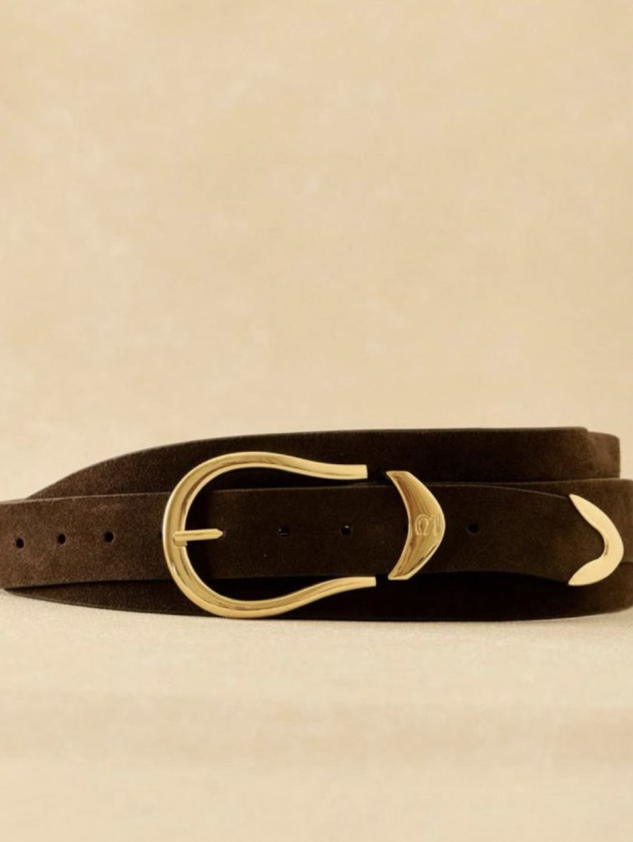 Dark Brown Suede Belt with Gold Buckle