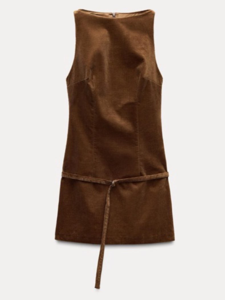 Zara Brown Corduroy Mini Dress