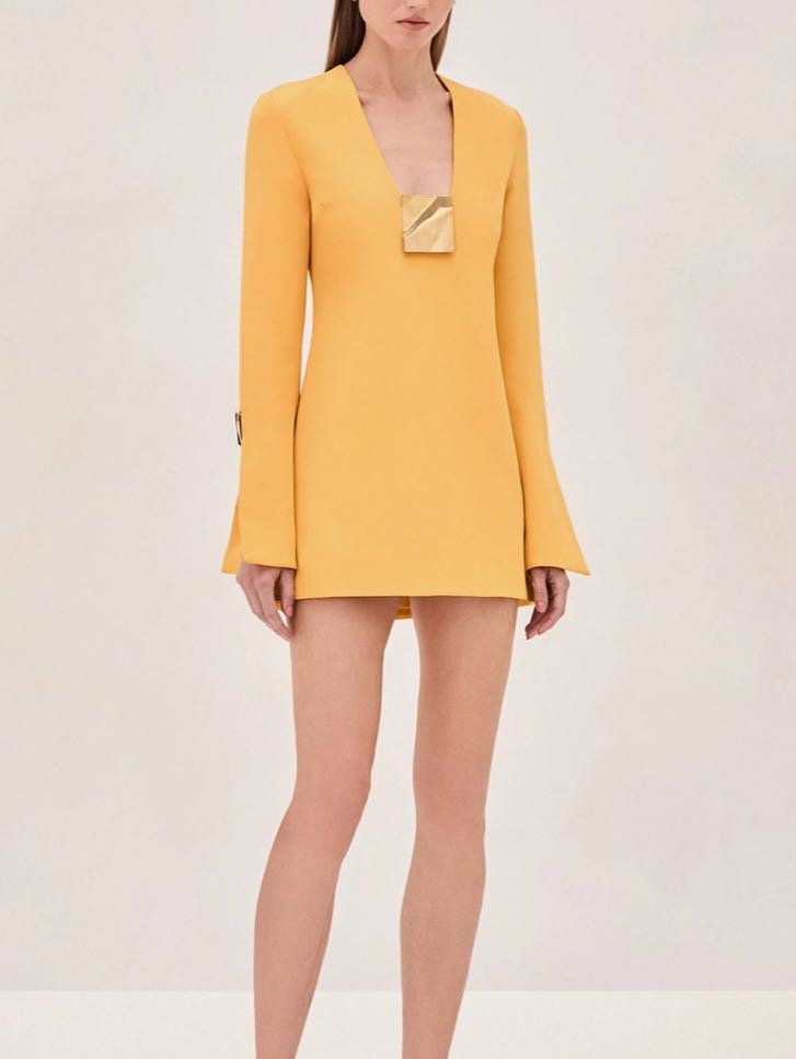 Alexis Petra mini dress