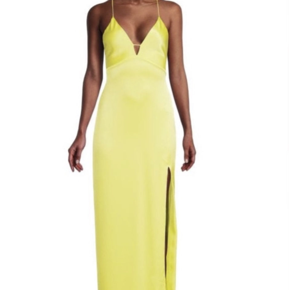 Alice and Olivia Dakota Slip Dress