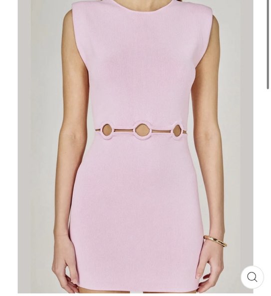 Endless Rose mini dress