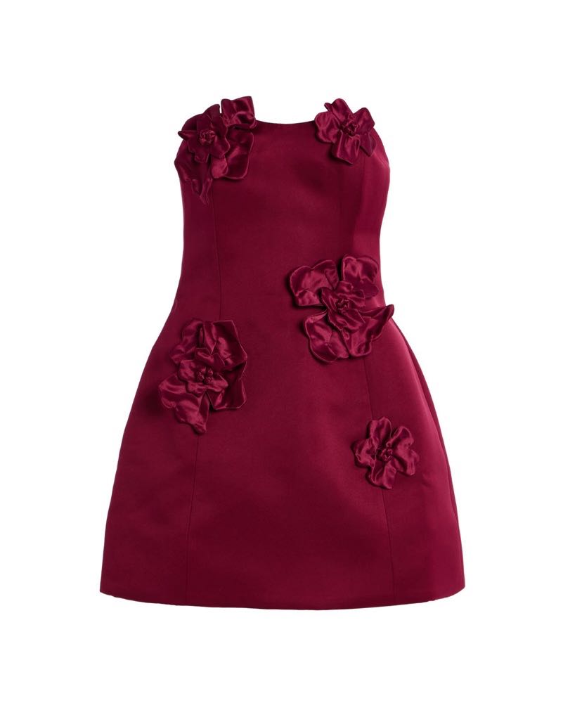 Burgundy Leo Lin mini dress