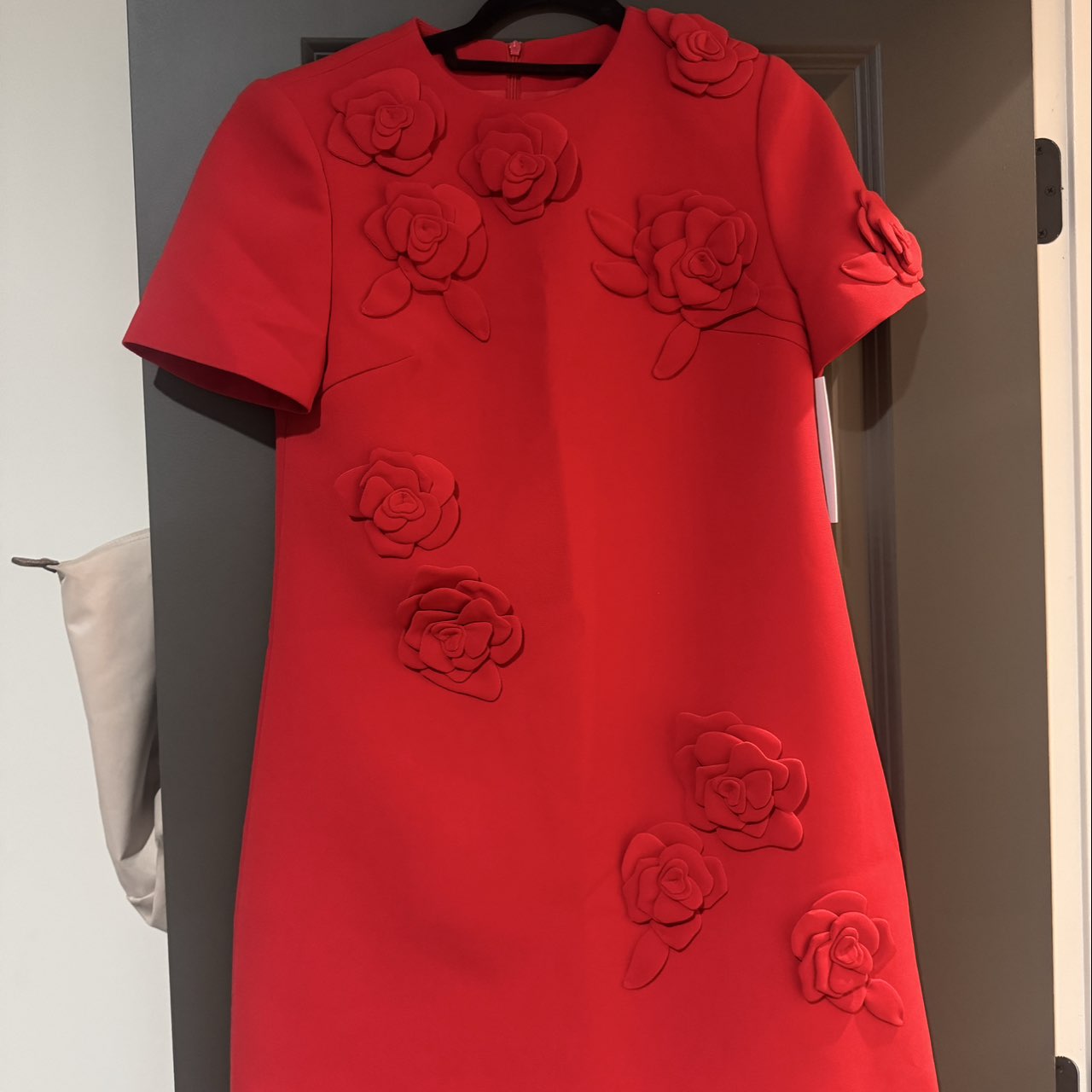 Ss Red 3D Floral Applique Shift Dress