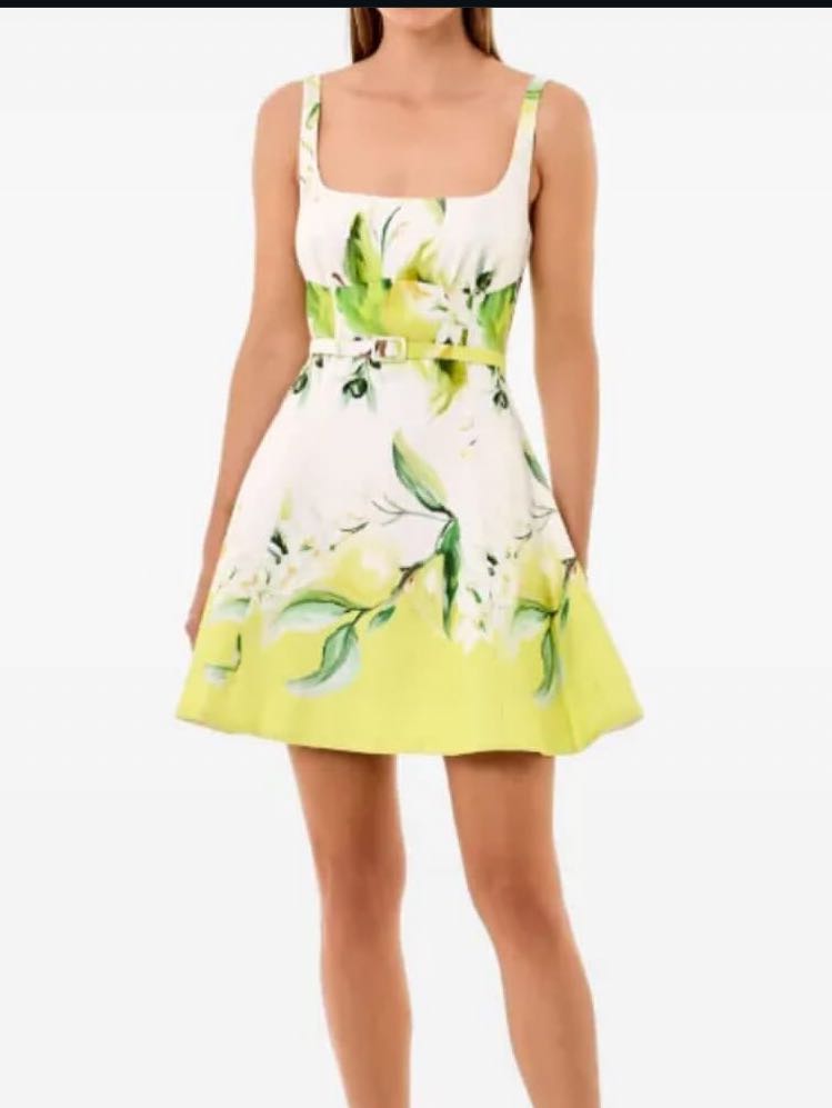 Nicholas the Label Elena Mini Dress