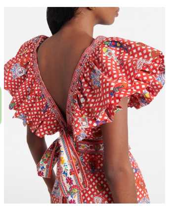 Red Gingham Floral Ruffle Crop Top