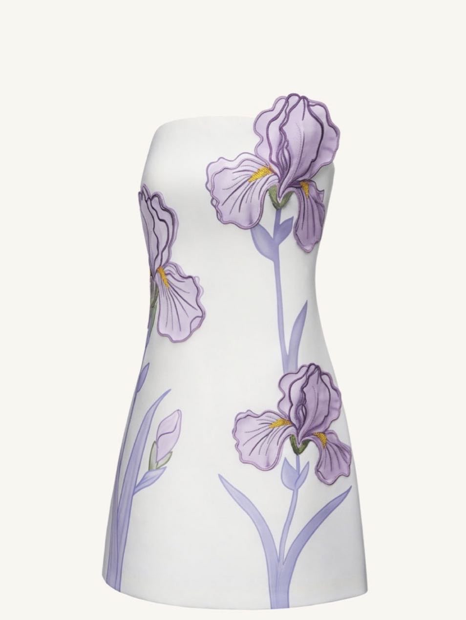Strapless Floral Mini Dress